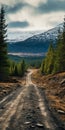 Zigzagging Dirt Road In Scottish Forest - Uhd Image