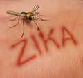 Zika Disease Concept