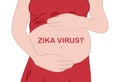 The Zika Fever Virus