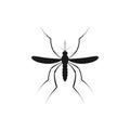 Zika mosquito . Zika virus alert. Zika virus concept. Zika virus mosquito bite. Mosquito logo. Aedes Aegypti isolated on