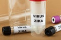 Zika virus concept photo with test tube Royalty Free Stock Photo