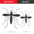 Zika virus graphic design elements. Royalty Free Stock Photo