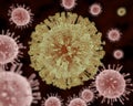 Zika Virus Royalty Free Stock Photo