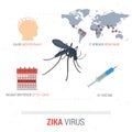 Zika virus infographic - facts Royalty Free Stock Photo