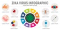 Zika virus infographic, flat style Royalty Free Stock Photo