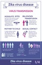 Zika virus infographic with icons and text.Information about transmission of illness.Health care concept. Royalty Free Stock Photo