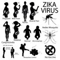 Zika virus infographic with pregnant woman. Royalty Free Stock Photo