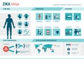 Zika virus infographic Royalty Free Stock Photo