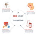 Zika virus infographic - transmission Royalty Free Stock Photo