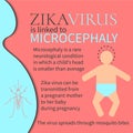 Zika virus microcephaly poster