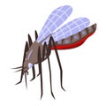 Zika virus mosquito icon, isometric style