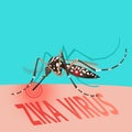 Zika Virus Outbreak Alert concept. Mosquito sucking blood. Royalty Free Stock Photo