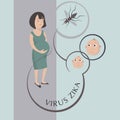 Zika virus outbreak concept. Transmitted by Aedes aegypti mosquito and it is linked to cause microcephaly on infected