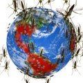 Zika Virus Spreads Globally Royalty Free Stock Photo