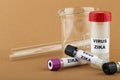 Zika virus and test tube Royalty Free Stock Photo