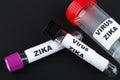 Zika virus and test tube Royalty Free Stock Photo