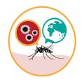 Zika Virus