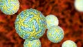 Zika viruses, the causative agent of Zika fever