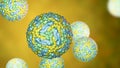 Zika viruses, the causative agent of Zika fever