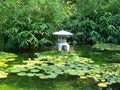 Zilker Japanese Pond Royalty Free Stock Photo