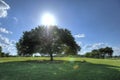 Zilker Park, Austin, Texas Royalty Free Stock Photo