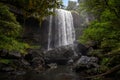 Zillie Falls streaming in the green wild wood, Queensland, Australia Royalty Free Stock Photo