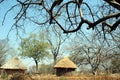 Zim Huts 01