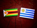 Zimbabwe flag with Uruguaian flag on a tree stump Royalty Free Stock Photo