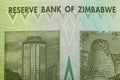 Zimbabwe twenty billion dollars banknote Royalty Free Stock Photo