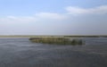 Bowdoin National  Wildlife Refuge, Montana Royalty Free Stock Photo