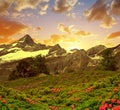 Zinalrothorn in Pennine alps, Switzerland Royalty Free Stock Photo