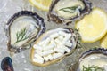 Zinc capsule supplementary food oyster seafood lemon