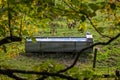 Zinc cattle trough full of water in field