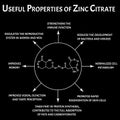 Zinc citrate useful properties molecular chemical formula. Zinc infographics. Vector illustration.