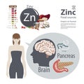 Zinc. The effect of minerals on human health. A healthy diet and a healthy lifestyle.