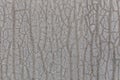 zinc painted flat texture and full frame grey background Royalty Free Stock Photo