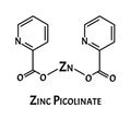 Zinc picolinate molecular chemical formula. Zinc infographics. Vector illustration on isolated background.