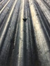 Zinc roof with bolt