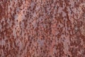 Zinc rust striped pattern Royalty Free Stock Photo