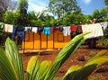 Zinc sheet metal house jungle with laundry drying Quinn Hill Bi