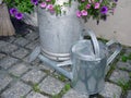 Zinc watering can in garden