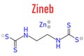 Zineb zinc organosulfur fungicide molecule. Skeletal formula.