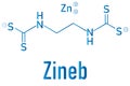 Zineb zinc organosulfur fungicide molecule. Skeletal formula.