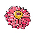 zinnia blossom spring color icon vector illustration