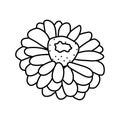 zinnia blossom spring line icon vector illustration