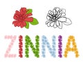 Zinnia colorful vector alphabet.
