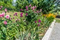 Zinnia flowers Garden Royalty Free Stock Photo