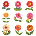 Zinnia Flower Icon Set, Garden Zinnia Flower Flat Design, Abstract Zinnia Flower Symbol