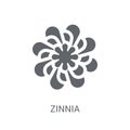 Zinnia icon. Trendy Zinnia logo concept on white background from