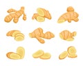 zinziber gingers set. cartoon tea gingers isolated on white background, cut ginger roots slices. vector cartoon flat